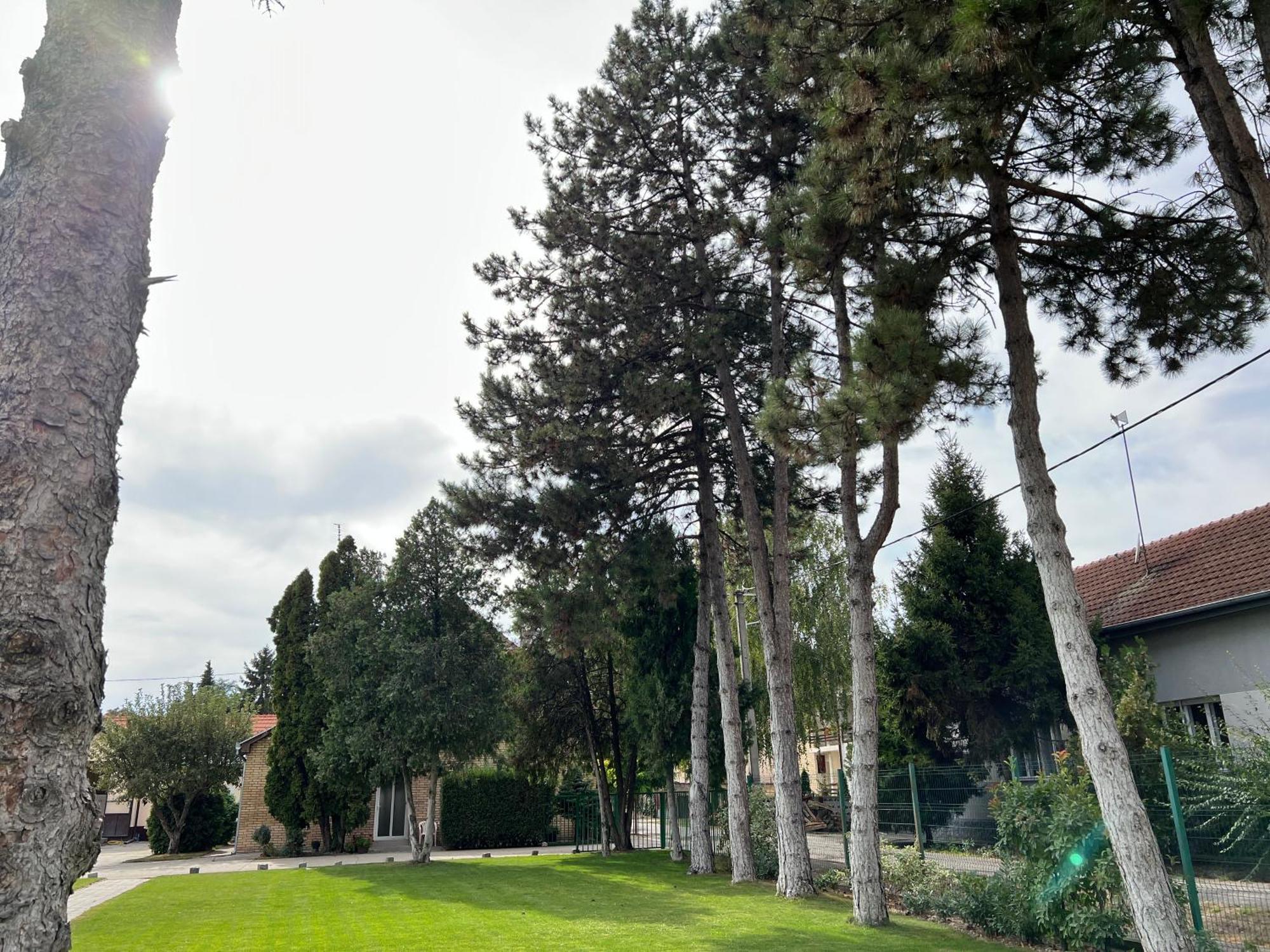 Bezdan Guesthouse Buitenkant foto