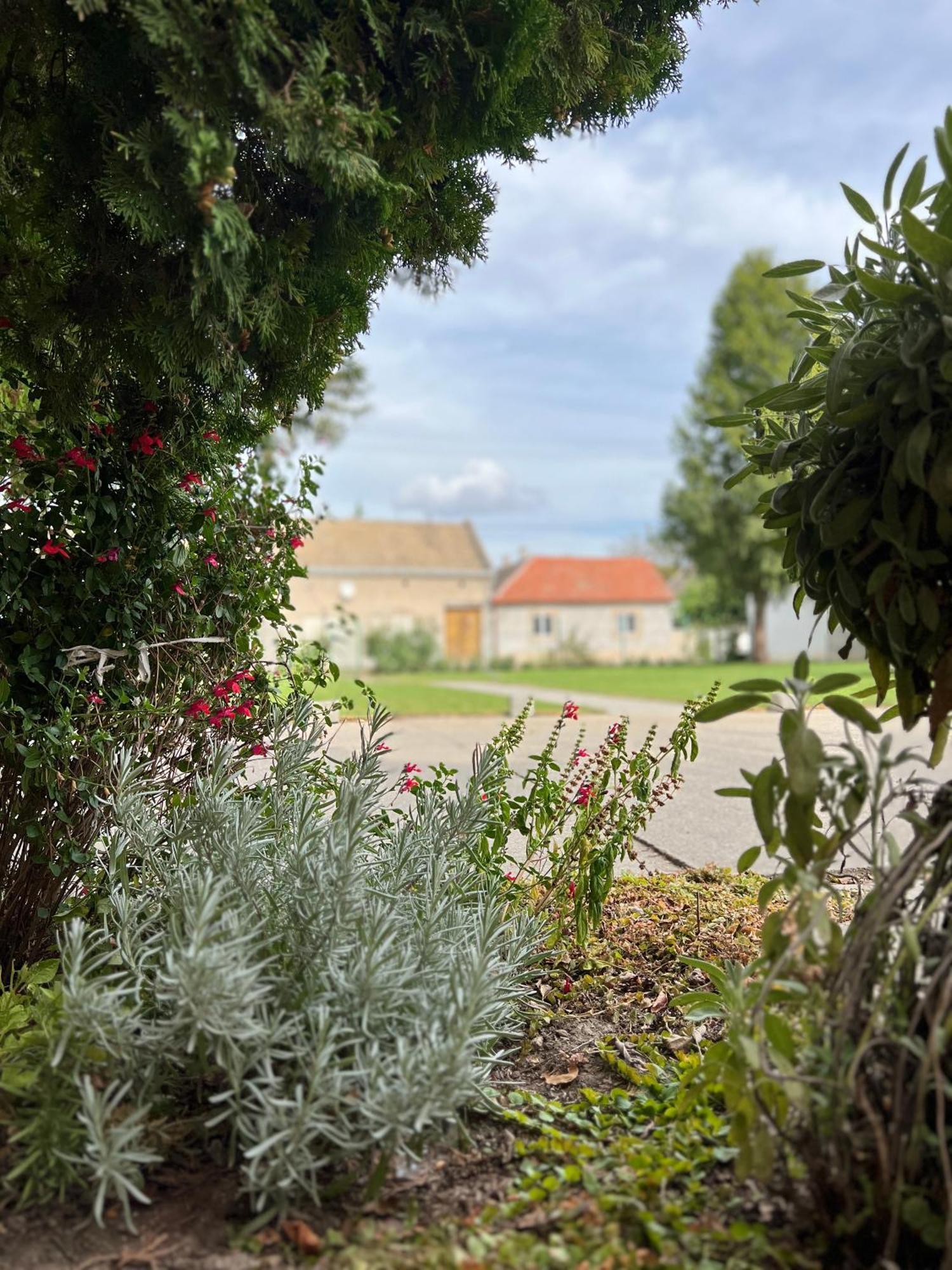 Bezdan Guesthouse Buitenkant foto