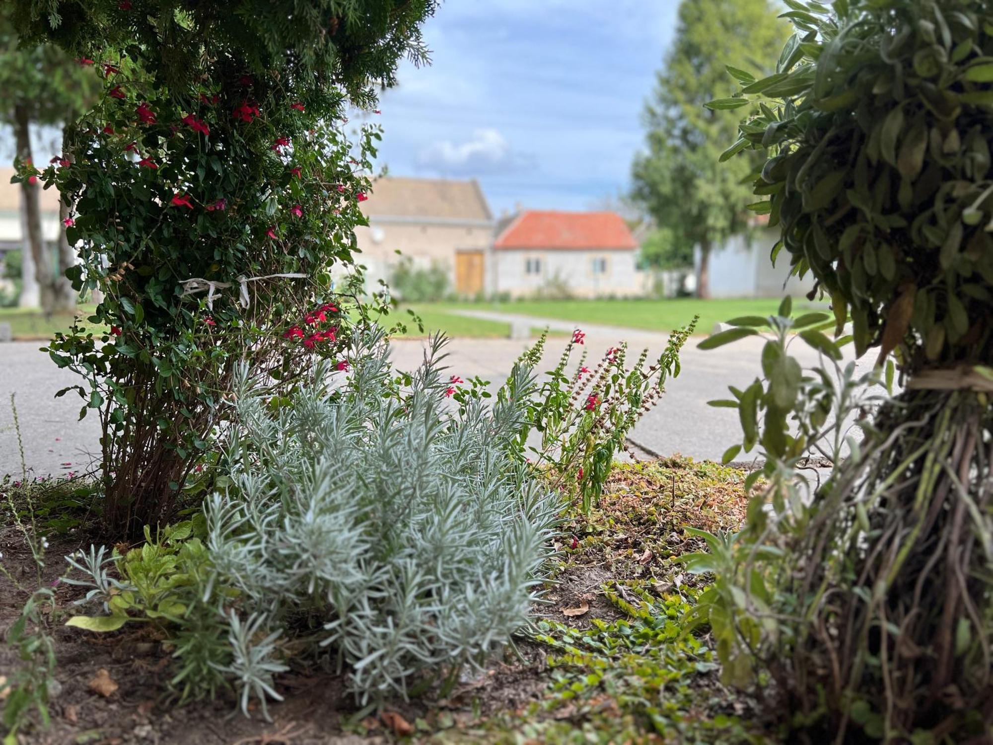 Bezdan Guesthouse Buitenkant foto