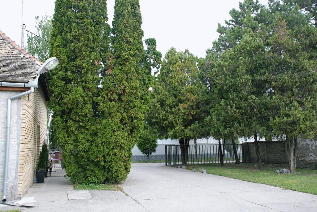 Bezdan Guesthouse Buitenkant foto